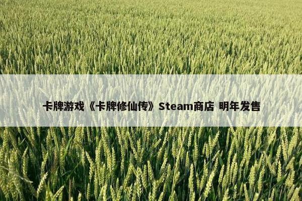 卡牌游戏《卡牌修仙传》Steam商店 明年发售