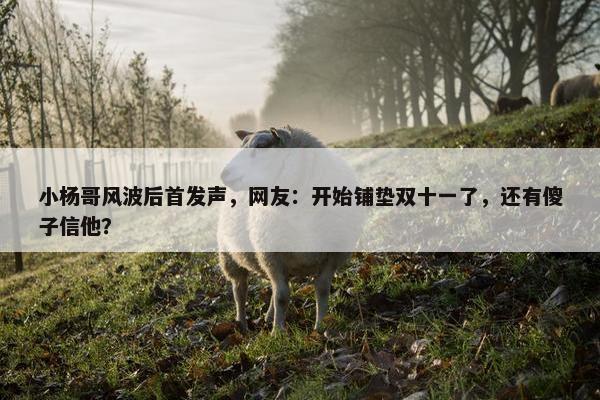 小杨哥风波后首发声，网友：开始铺垫双十一了，还有傻子信他？