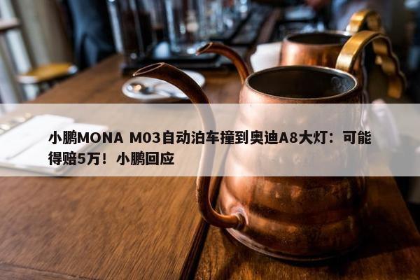 小鹏MONA M03自动泊车撞到奥迪A8大灯：可能得赔5万！小鹏回应