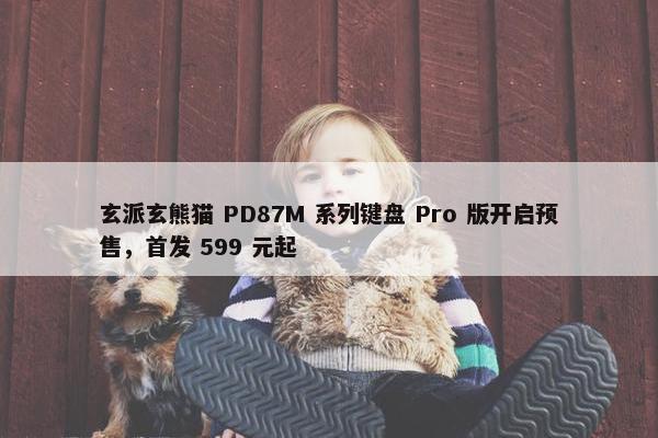 玄派玄熊猫 PD87M 系列键盘 Pro 版开启预售，首发 599 元起