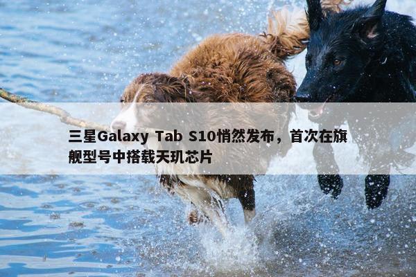 三星Galaxy Tab S10悄然发布，首次在旗舰型号中搭载天玑芯片