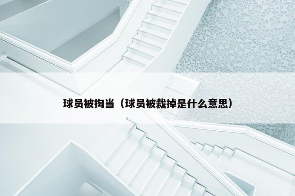 球员被掏当（球员被裁掉是什么意思）