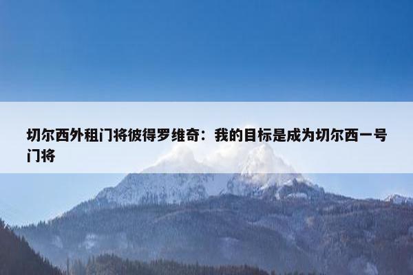 切尔西外租门将彼得罗维奇：我的目标是成为切尔西一号门将