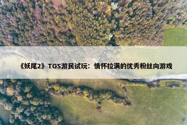 《妖尾2》TGS游民试玩：情怀拉满的优秀粉丝向游戏