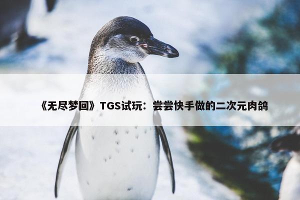 《无尽梦回》TGS试玩：尝尝快手做的二次元肉鸽