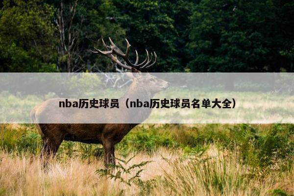 nba历史球员（nba历史球员名单大全）