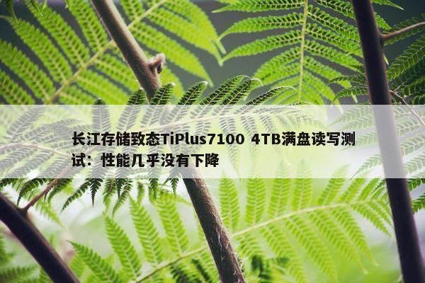 长江存储致态TiPlus7100 4TB满盘读写测试：性能几乎没有下降