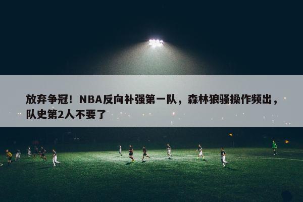 放弃争冠！NBA反向补强第一队，森林狼骚操作频出，队史第2人不要了