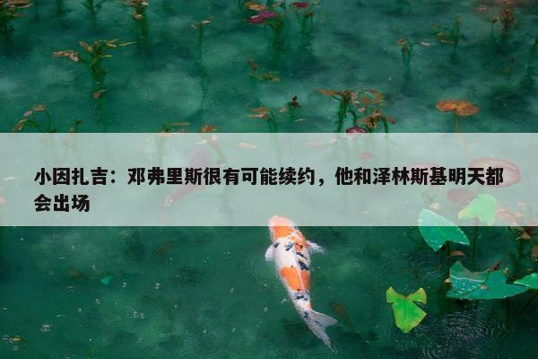 小因扎吉：邓弗里斯很有可能续约，他和泽林斯基明天都会出场