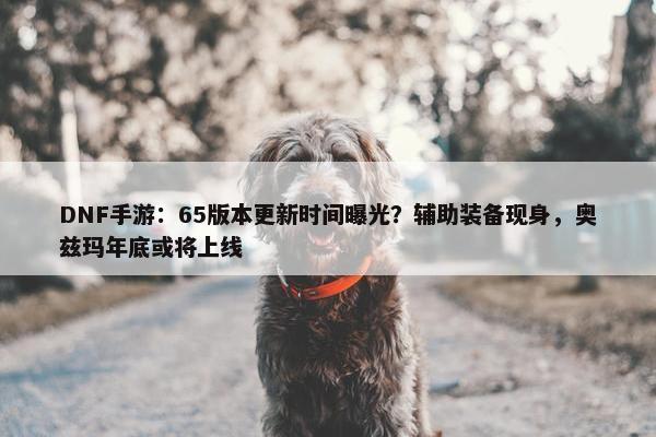 DNF手游：65版本更新时间曝光？辅助装备现身，奥兹玛年底或将上线