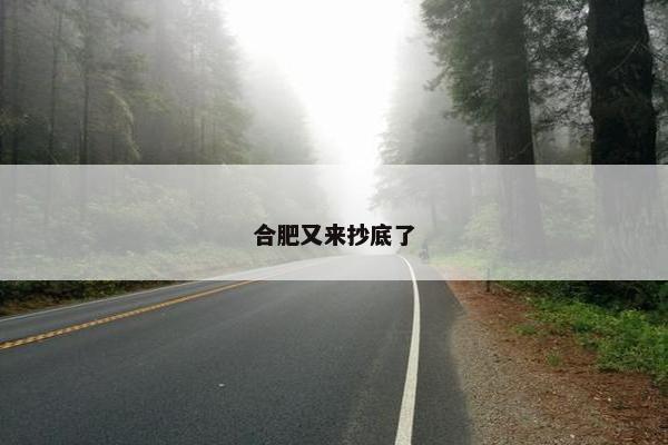 合肥又来抄底了