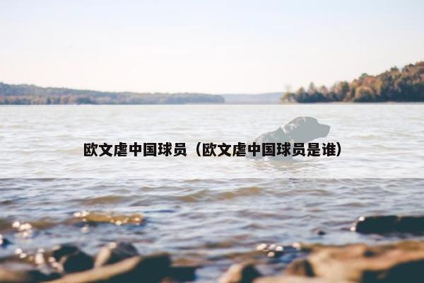 欧文虐中国球员（欧文虐中国球员是谁）