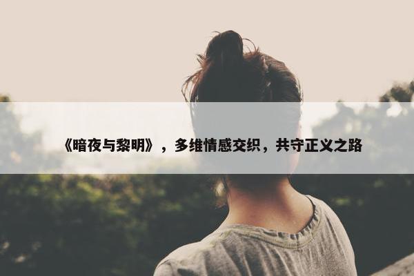 《暗夜与黎明》，多维情感交织，共守正义之路