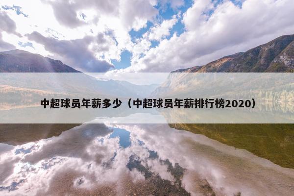 中超球员年薪多少（中超球员年薪排行榜2020）