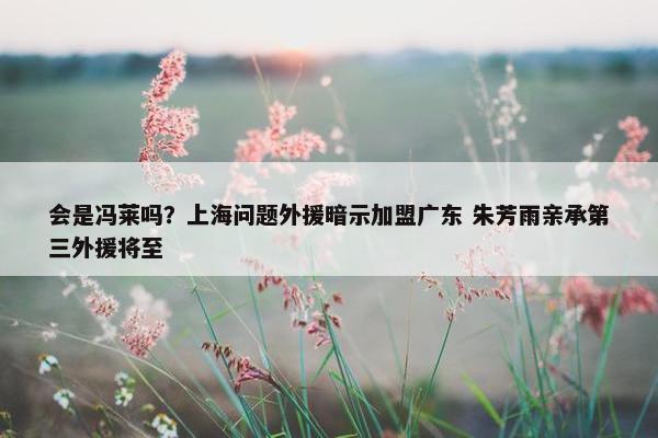 会是冯莱吗？上海问题外援暗示加盟广东 朱芳雨亲承第三外援将至