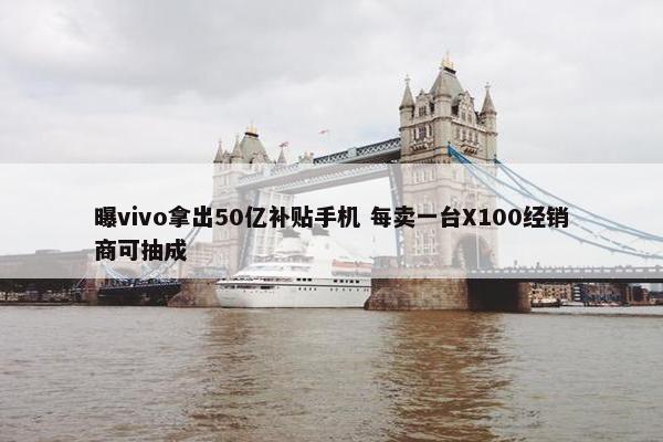 曝vivo拿出50亿补贴手机 每卖一台X100经销商可抽成