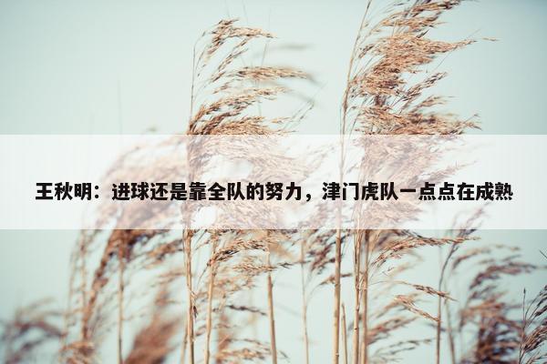 王秋明：进球还是靠全队的努力，津门虎队一点点在成熟