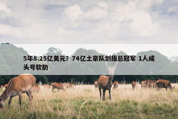 5年8.25亿美元？74亿土豪队剑指总冠军 1人成头号软肋