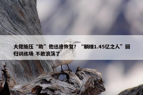 大佬施压“助”他迅速恢复？“躺赚1.45亿之人”回归训练场 不敢浪荡了