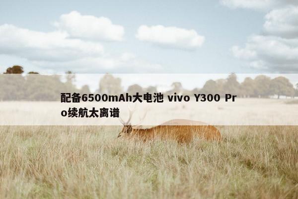 配备6500mAh大电池 vivo Y300 Pro续航太离谱