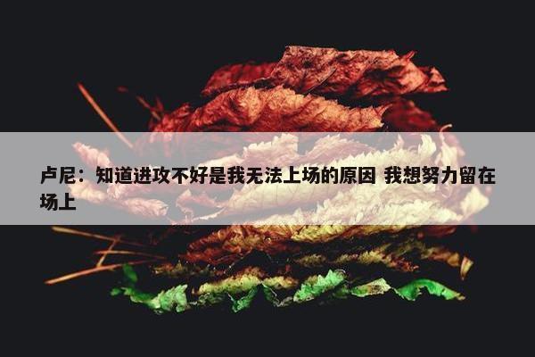 卢尼：知道进攻不好是我无法上场的原因 我想努力留在场上