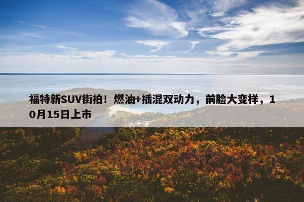 福特新SUV街拍！燃油+插混双动力，前脸大变样，10月15日上市