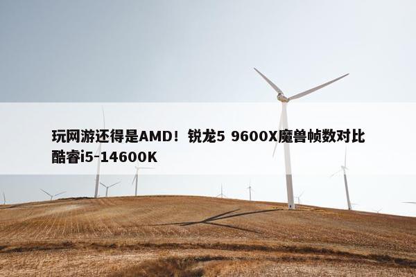 玩网游还得是AMD！锐龙5 9600X魔兽帧数对比酷睿i5-14600K