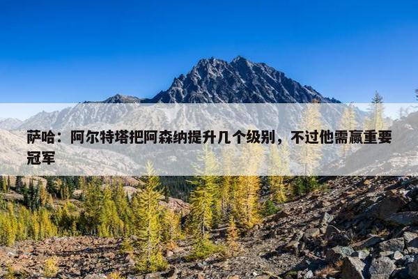 萨哈：阿尔特塔把阿森纳提升几个级别，不过他需赢重要冠军