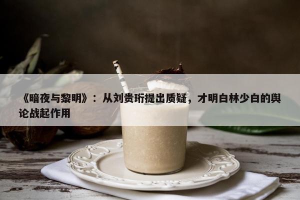 《暗夜与黎明》：从刘贵珩提出质疑，才明白林少白的舆论战起作用