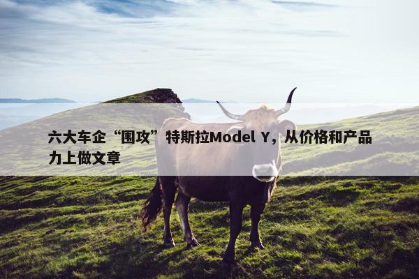 六大车企“围攻”特斯拉Model Y，从价格和产品力上做文章