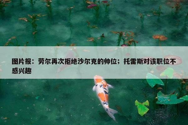 图片报：劳尔再次拒绝沙尔克的帅位；托雷斯对该职位不感兴趣