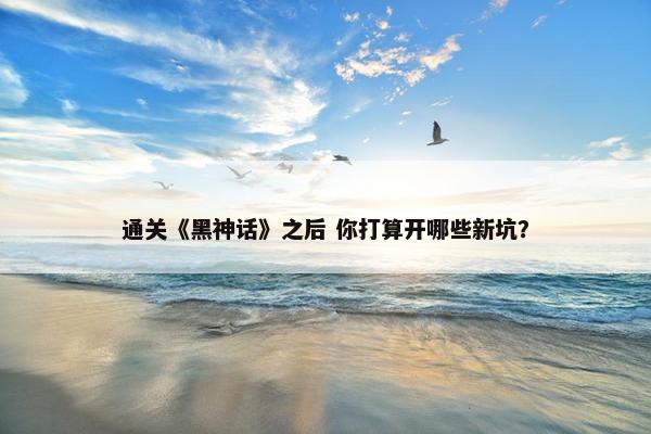 通关《黑神话》之后 你打算开哪些新坑？