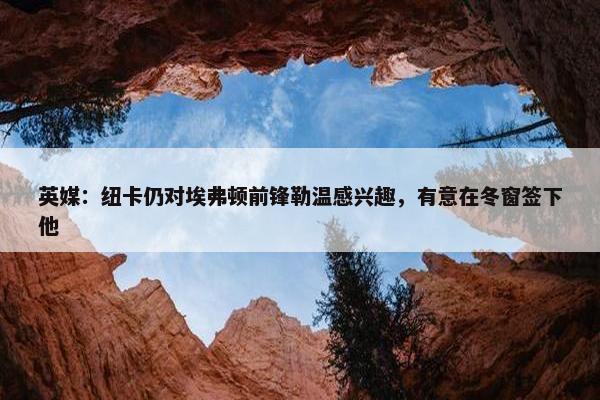 英媒：纽卡仍对埃弗顿前锋勒温感兴趣，有意在冬窗签下他