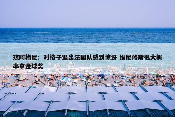 琼阿梅尼：对格子退出法国队感到惊讶 维尼修斯很大概率拿金球奖