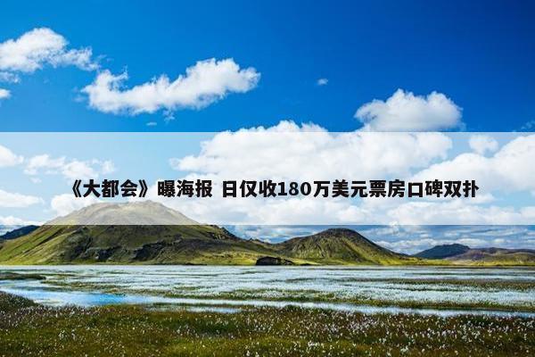 《大都会》曝海报 日仅收180万美元票房口碑双扑