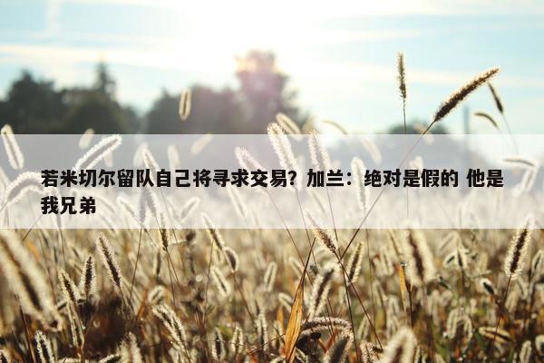 若米切尔留队自己将寻求交易？加兰：绝对是假的 他是我兄弟