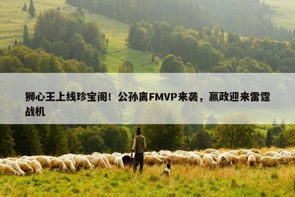 狮心王上线珍宝阁！公孙离FMVP来袭，嬴政迎来雷霆战机