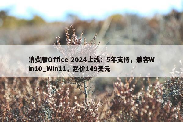 消费版Office 2024上线：5年支持，兼容Win10_Win11，起价149美元