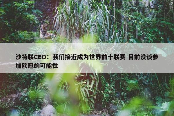 沙特联CEO：我们接近成为世界前十联赛 目前没谈参加欧冠的可能性