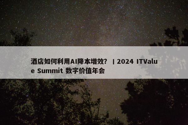 酒店如何利用AI降本增效？丨2024 ITValue Summit 数字价值年会