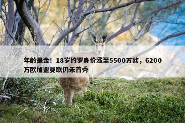 年龄是金！18岁约罗身价涨至5500万欧，6200万欧加盟曼联仍未首秀