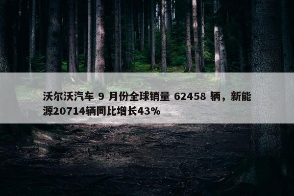 沃尔沃汽车 9 月份全球销量 62458 辆，新能源20714辆同比增长43%