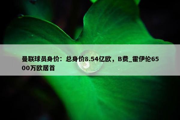 曼联球员身价：总身价8.54亿欧，B费_霍伊伦6500万欧居首