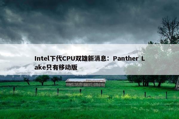 Intel下代CPU双雄新消息：Panther Lake只有移动版