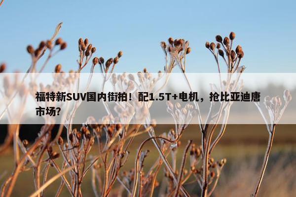 福特新SUV国内街拍！配1.5T+电机，抢比亚迪唐市场？