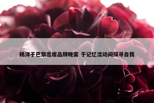 杨洋于巴黎出席品牌晚宴 于记忆流动间探寻自我