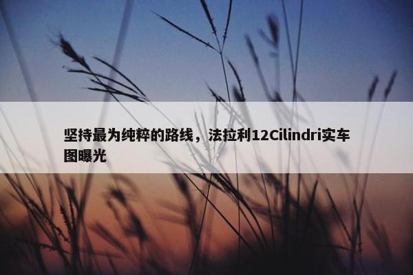 坚持最为纯粹的路线，法拉利12Cilindri实车图曝光