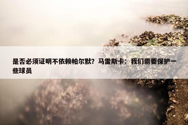 是否必须证明不依赖帕尔默？马雷斯卡：我们需要保护一些球员