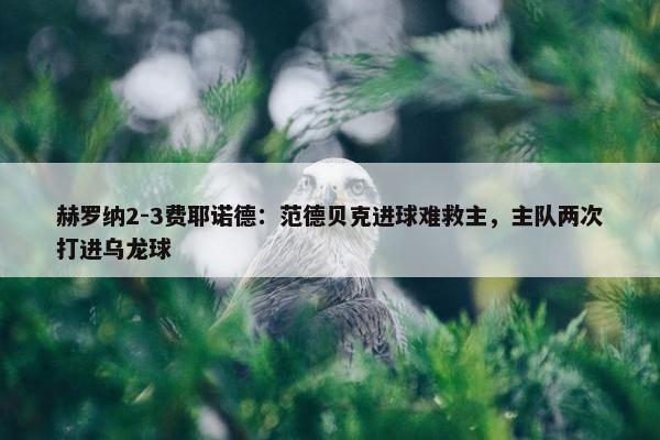 赫罗纳2-3费耶诺德：范德贝克进球难救主，主队两次打进乌龙球