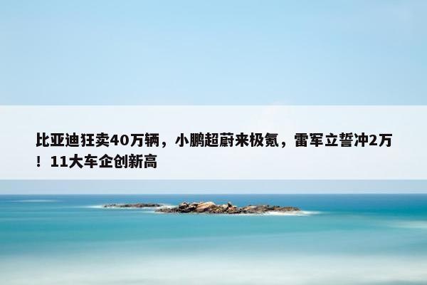 比亚迪狂卖40万辆，小鹏超蔚来极氪，雷军立誓冲2万！11大车企创新高